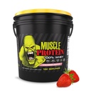 חלבון שרירי של COLOSSAL LABS אבקת Whey [12 lbs / Pack של 1] - קר מסנן, 25g חלבון טהור, 6.6g BCAAs (Packaging May Vary) (12LB, Strawberry)