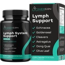 Herbal Lymph System תומך תוסף - Lymphatic Support Complex with Echinacea Goldenseal Astragalus & Hydroxyrosol עבור Lymphatic Drainage & Immune Support - טבעוני non-GMO Gluten חינם (1 חודש)