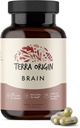 Terra Origin, תוספי מוח בריאים, קפסולות, 30 משרתות, עם CDP Choline, Genekgo Biloba Extract, ו Bacopa - עבור בריאות המוח, משפר את הזיכרון, Recall ותפקוד