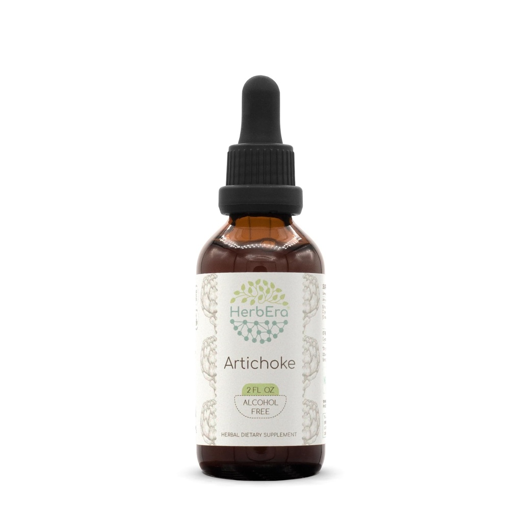HerbEra Artichoke B60 אלכוהול חינם Herbal Extracting Tincture, נוזל מבוזר טיפות טבעי ארטישוק (Cynara scolymus) (2 floz)
