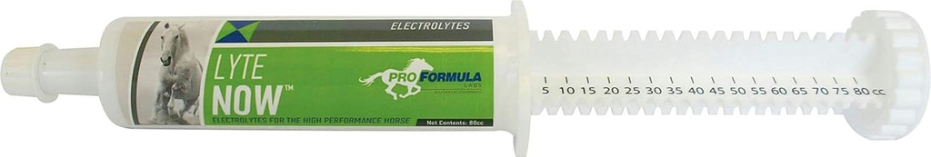 Uckele Lyte Now Syringe for Horses - Full Spectrum Electrolyte Paste for Horses - Equineמינרל Fluid Replenishment - 3 Doses - 80 CC