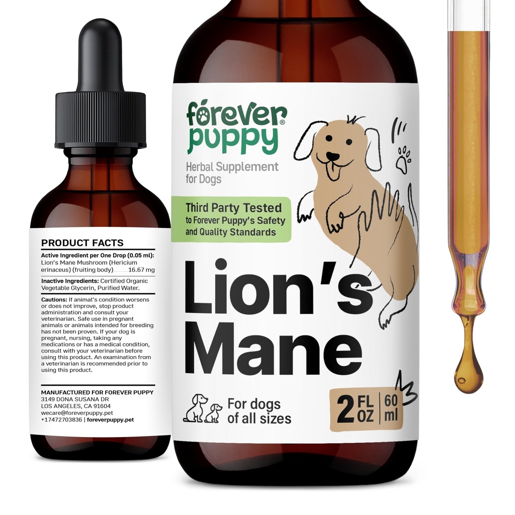 Forever Puppy Lions Mane Mushroom תוסף לכלבים - Brain & Focus Support - Yellow's Mane Mushroom for Dogs - Canine ויטמינים ותוספים - סוכר & אלכוהול חינם טיפות - 2 fls