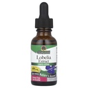 Nature?s תשובה Lobelia Herb Lobelia Inנפחa - תוסף צמחי טבעי - Gluten Alcohol-Free - אידיאלי עבור Immunity Total Health WellBeing? 690mcg (1 FL Oz)