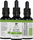 Active Folate Pure נוזל לחלץ תוסף - L-Methylfolate for Better Absorption, Brain Health, לשפר את התפקוד התאי, תמיכה במערכת החיסון, Water Soluble B Complex, 1oz - על ידי Ziggy Health