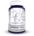 Nootropics Depot Polygala Tenuifolia קפסולות | 100 מ"ג | 90 Count | 20:1 לחלץ | יואן Zhi | מקדם פונקציונליות קוגניטיבית, למידה וזיכרון | תמיכה ברמות מתח בריאות | תוספי הסתגלות