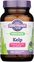 RUGONS Wild Harvest Kelp, 90 CT