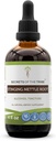 סודות של השבט Sting Nettle Root אלכוהול לחלץ, High-Potency Herbal Drops, Tincture עשוי Sting Nettle (Urtica dioica) Dried Root 4 oz
