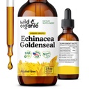 Wild & אורגני Echinacea Goldenseal נוזלי טיפות - Immune Support Supplement w / Goldenseal Echinacea Root Extract - טבעוני, סוכר ואלכוהול חינם טינקטורה - 2 fl oz