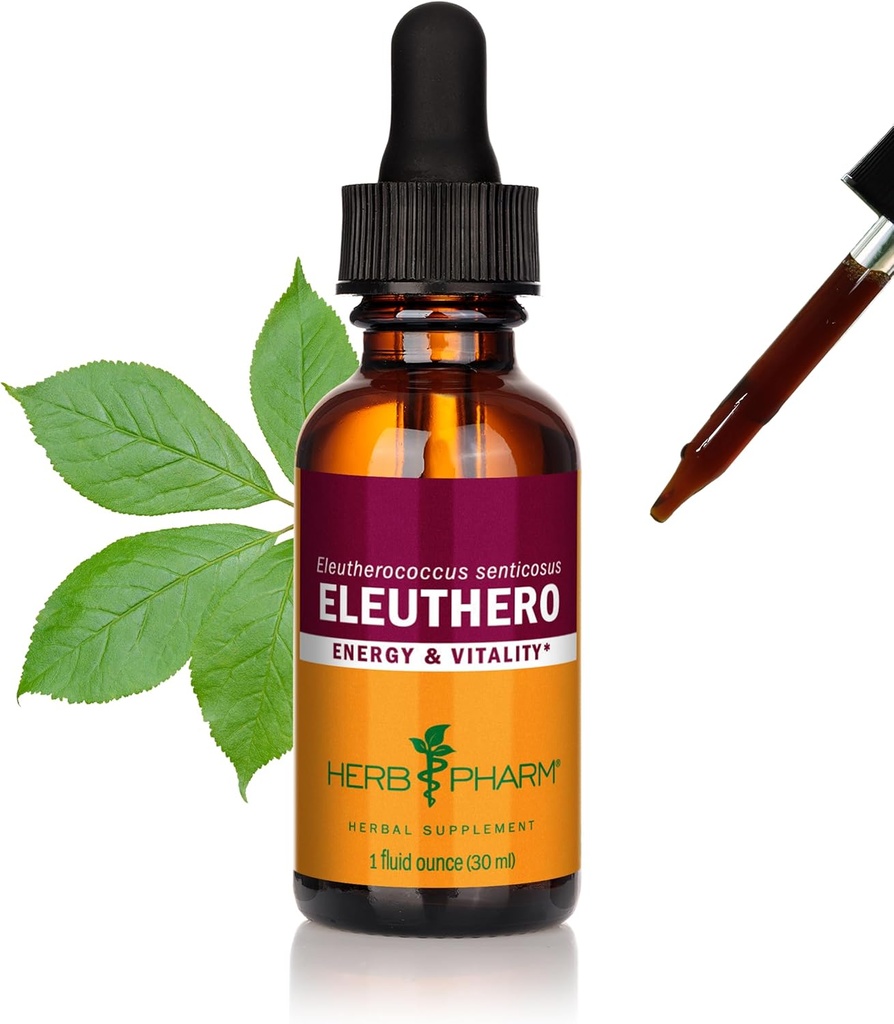 Herb Pharm Eleuthero שורש לחלץ אנרגיה ו Stamina, Cane אלכוהול, 1 Ounce