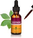 Herb Pharm Eleuthero שורש לחלץ אנרגיה ו Stamina, Cane אלכוהול, 1 Ounce