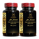 L-LYSINE 500 - L-Lysine 500 מ"ג, עבור פונקציונליות חיסונית בריאה, תומך Collagen Synthesis, Soy-Free, Gluten-Free, non-GMO, Lysine תומך תוספי מזון לימפה ו- Oral Tissue - 2 בקבוקי 200 הרוזן
