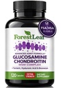 Glucosamine Chondroitin MSM מורכב תוסף תמיכה משותפת עבור נשים וגברים עם Turmeric, Hyaluronic Acid ו Bromelain עבור שריר גמישות - 120 Caps Caps