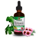 תשובתו של הטבע Echinacea & Goldenseal עם אלכוהול אורגני, 2-Fluid Ounces