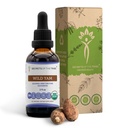 סודות של השבט Wild Ye-Free USDA אורגני Tincture (Glycerite) 695 מ"ג Responsibly Farmed Wild ean (Dioscorea Villosa) Dried Root (2 Fl Oz) תוספת תמיכה הורמונלית