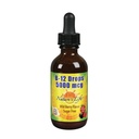 החיים בטבע B-12 טיפות, Methlycobalamin 4 oz (2 Fl Oz (Pack of 1)