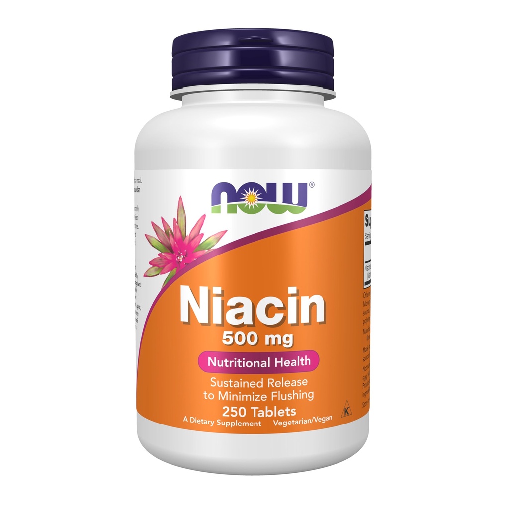 תוספי מזון עכשיו, Niacin (Vitamin B-3) 500 מ"ג, Sustained לשחרר, תזונה בריאות, 250 טבליות