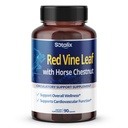 Red Vine Leaf and Horse Chestnut, 50% פלבונואידים לתמיכה ב-Wiin, Skin, Heart Wellness - Made in the USA