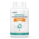 Orgabay Liposomal NAD+ תוספת של 500 מ"ג, High Absorption, Boost NAD+ עם TMG 250 מ"ג, Actual NAD Plus More Efficient Than Nicotinamide Riboside, תמיכה באנרגיה סלולרית, הזדקנות בריאה | 60 Softgels