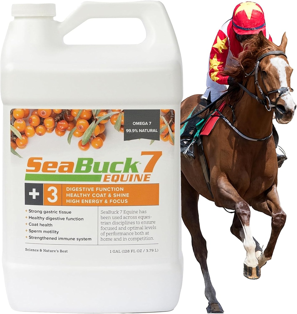 SeaBuck 7 Equine תוספת עבור סוסים עם Sea Buckthorn כדי לשפר את בריאות הסוסים (3-6 שבועות אספקת, 1 גאלון) - תמיכה אכילה בריאה וחוסן, אנרגיה מוגברת / פוקוס, ו Shiny Coats עבור סוסים