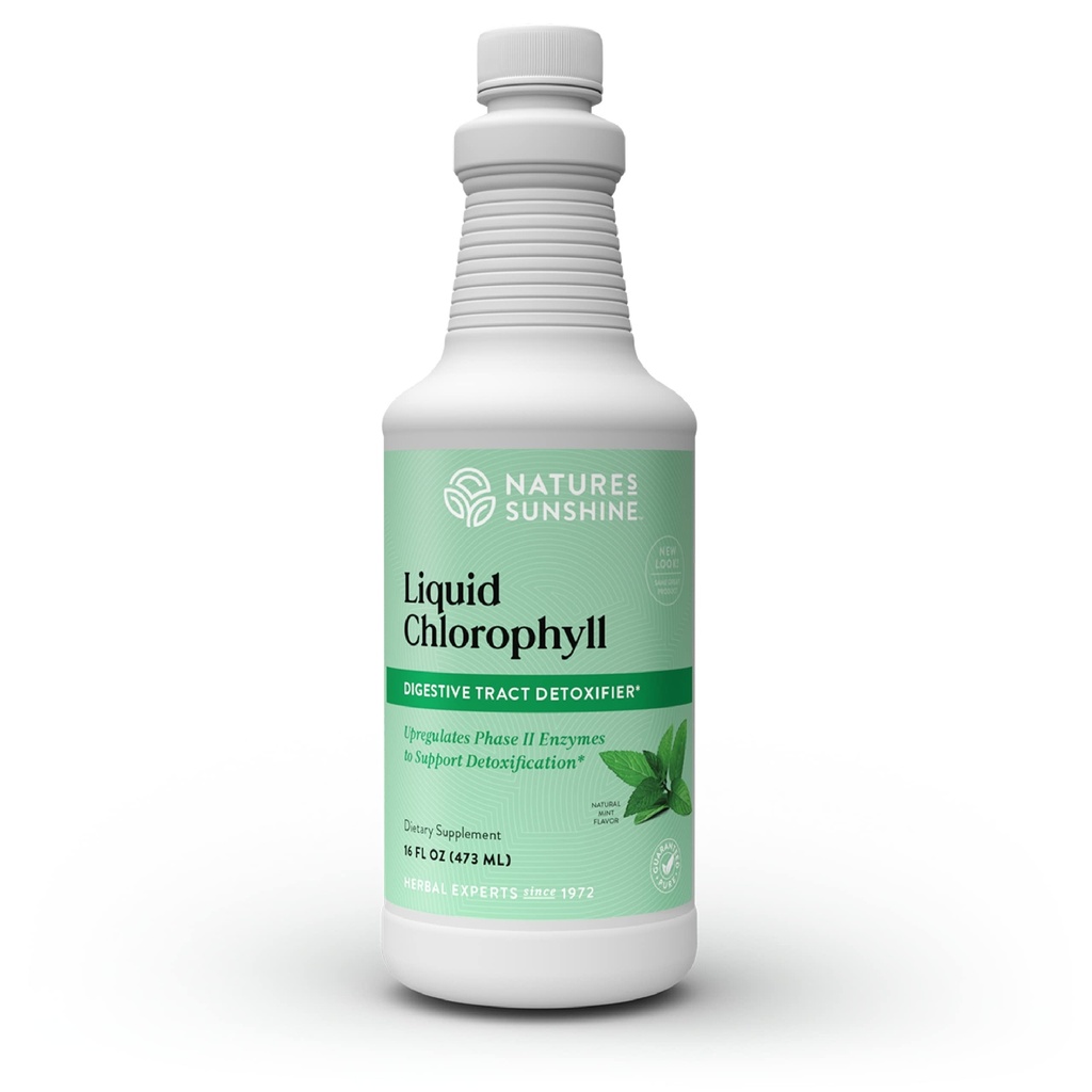 אור השמש של הטבע נוזל Chlorophyll - תמיכה חסינות, Detox & ניקויse, Chlorophyll נוזל טיפות עם שמן Spearmint, אנרגיה טבעית Boost, פנימי Deodorant - 16 Fl Oz