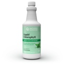 אור השמש של הטבע נוזל Chlorophyll - תמיכה חסינות, Detox & ניקויse, Chlorophyll נוזל טיפות עם שמן Spearmint, אנרגיה טבעית Boost, פנימי Deodorant - 16 Fl Oz