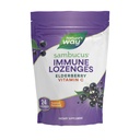 דרכו של הטבע Sambucus Immune Lozenges, ויטמין C, Elderberry, 24 טרופי פלאקר Lozenges (Packaging May Vary)
