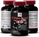 Natural Stamina Boost - TRIBULUS TERRESTRIS לחלץ - חיזוק ופעילות, אנרגיה אופטימיזציה פורמולה, כוח מבוסס צמחים, סביבת ביצועים גוף, Active Recovery, Energy Flow 1Bot 90Tabs