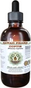 פליטת נוזלים ללא אלכוהול, קופטיס (Rhizoma Coptidis) Dried Root Glycerite הוואי Pharm טבעי צמחי