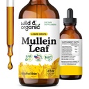 Wild & Organic Mullein Tincture - Lung ניקויse ו Detox - נוזל מוללין פלט עבור Lungs עם Echinacea - Verbascum Thapsus Drops - טבעוני, סוכר ואלכוהול חינם תוספת - 4 fl oz oz oz oz oz oz oz oz oz oz oz oz oz oz oz oz oz oz oz oz oz oz oz oz oz oz oz oz oz oz oz oz oz oz oz oz