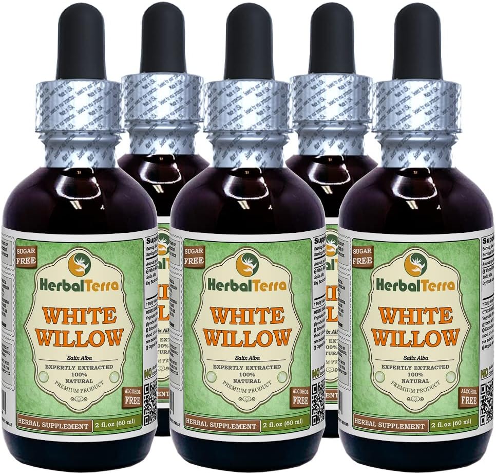 White Willow (Salix Alba) Glycerite, אורגני Dried Bark אלכוהול-FREE לחלץ נוזלי (שם בדוי: HerbalTerra, המיוצר גאה בארה"ב) 5x2 fl.oz (5x60 מ"ל)