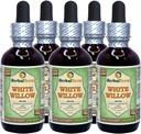 White Willow (Salix Alba) Glycerite, אורגני Dried Bark אלכוהול-FREE לחלץ נוזלי (שם בדוי: HerbalTerra, המיוצר גאה בארה"ב) 5x2 fl.oz (5x60 מ"ל)