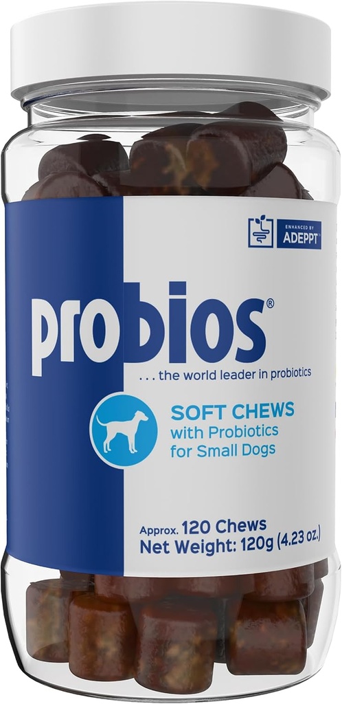 Probios for Dogs Soft Chews, Probiotics for Dogs, תוסף יומי לבריאות Gut, Digestion & Immune Support, Small Breeds, 4.23oz