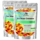 BIO VITALICA Sea Moss Gummies - עם Bladderwrack & Burdock Root - Wildcreate Gel + אבקת - טבעוני, Keto, non-GMO, Gluten-Free-Richmies - 50 Count (2 Pack)