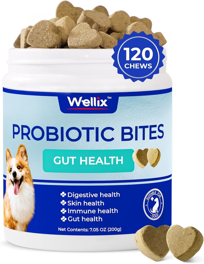 Wellix Probiotics for Dogs - כלב פרוביוטיקה צ'יפס לבריאות הכלב, מונע שלשולים, אלרגיות - Anti Diarrhea, Upset Stomach & Gas Relief