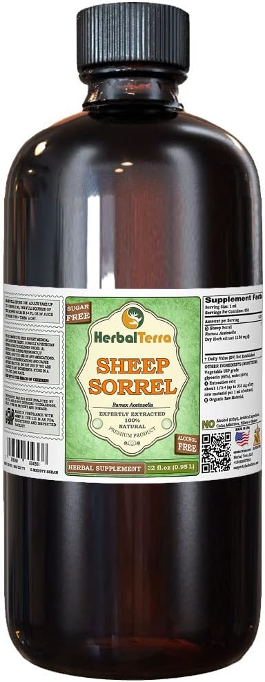 כבשה סורל (Rumex Acetosella) Glycerite, אורגני Dried Herb אלכוהול-Free Liquid Extract (Brand Name: HerbalTerra, Proly Made in USA) 32 fl.oz (0.95 l)