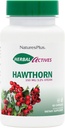 NaturesPlus Herbal Actives Holhorne 150 מ"ג - 60 קפסולות צמחוניות - תמיכה בריאות הלב - Gluten חינם - 60 המשרתים