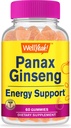 ובכן, Panax גינזנג חניכיים - 96 מ"ג של Panax Geneseng שורש לחלץ לשרת - non-GMO, Natural Flavors, טבעוני, Gluten-Free, Nut-Free - Count 60