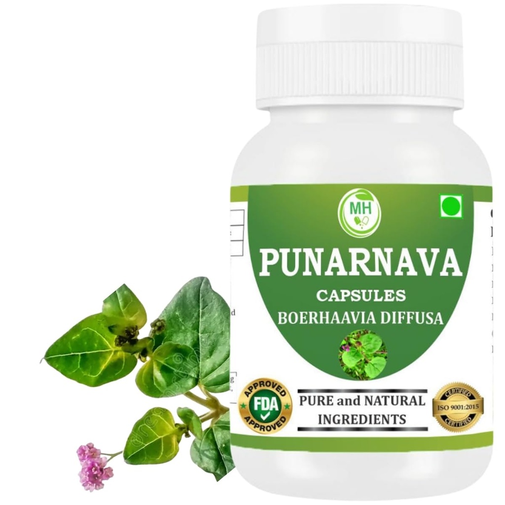 Punarnava כמוסות (Boerhaavia Diffusa) 500 מ"ג - 60 ואג קפסולות | Herbal Wellness תוסף עבור תמיכה טבעית Kidney & Liver תמיכה; Plant-based Detox & ניקוי פורמולה | חבילת 1 1