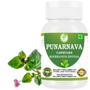 Punarnava כמוסות (Boerhaavia Diffusa) 500 מ"ג - 60 ואג קפסולות | Herbal Wellness תוסף עבור תמיכה טבעית Kidney & Liver תמיכה; Plant-based Detox & ניקוי פורמולה | חבילת 1 1