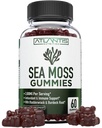 Irish Sea Mossss Gummies - 3000MG - פורמולה w / Irish Sea Moss, Bladder & Burdock Root, מכיל ויטמין חיוני ומינרל - תוספת Superfood Superfood, 60 ים Mosmies למבוגרים