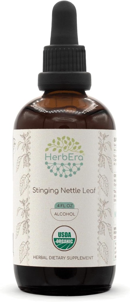 HerbEra Sting Nettle Leaf A120 USDA אורגני Tincture | מוצרי אלכוהול, High-Potency Herbal טיפותs | אורגני Sting Nettle (Urtica Dioica) Dried Leaf (4 oz)