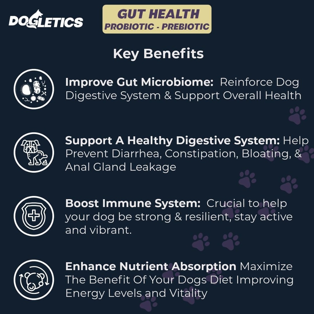 בריאות Probiotic & Prebiotic - 90ct Support Stomach Microbiome, מניעת בעיות עיכול, להפחית בעיות אנליסטים Gland, לשפר את תפקוד Immune ואנרגיה כוללת