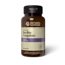 חומרים מזינים של Nature's Sunshinefoodbiome Bacillus Coagulans Probiotics, 90 קפסולות | 3 מיליארד CFU של Bacillus Coagulans Probiotics Probiotics Defenden Against Digested Upset and Occasional Diarrhea, Gas and Bloatingingingings Coaguings Proagulans Probiotics Proaguen Defend Against Digest