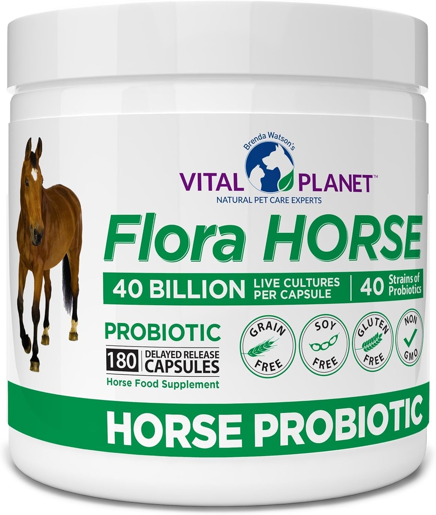 Vital Planet - פלורה סוס פרוביוטיקה, High Potency Equine Probiotics עם Prebiotics, 40 מיליארד Live CFU ממספר סטרינס, אקסיבי ו- Immune Support, 180 קפסולות שחרור נדחה (180 ימים)