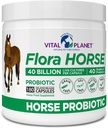 Vital Planet - פלורה סוס פרוביוטיקה, High Potency Equine Probiotics עם Prebiotics, 40 מיליארד Live CFU ממספר סטרינס, אקסיבי ו- Immune Support, 180 קפסולות שחרור נדחה (180 ימים)