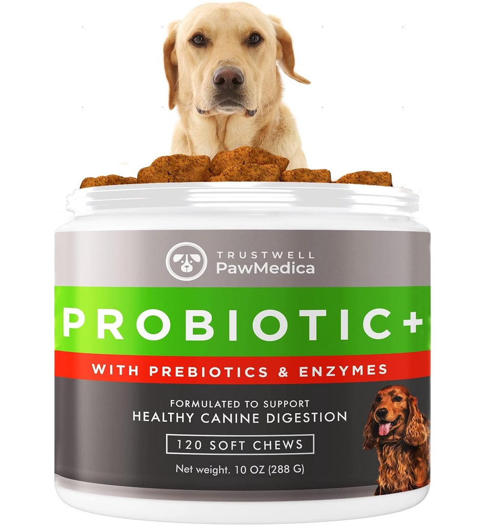 כלב PawMedica Probiotics and Digestive Enzymes, Probiotics for Dogs Made בארה"ב, Pet Probiotic Chews for Dogs, Prebiotics & Probiotic Dog Support, Probiotic Treats - 120 כלבים פרוביוטיים צ'אדות