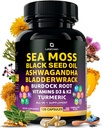 Sea Mosss כמוסות - 17-in-1 בלגן עם שמן Seed אשווגנדה Blawdderha Blawdder Burdock Root Turmeric ויטמין D3 K2 C עבור Daily Wellness - תוספי Multimineral לגברים ונשים - 120 הרוזן ספירה