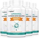 Orgabay Liposomal NAD+ תוספת של 500 מ"ג, High Absorption, Boost NAD+ עם TMG 250 מ"ג, Actual NAD Plus More Efficient Than Nicotinamide Riboside, תמיכה באנרגיה סלולרית, הזדקנות בריאה