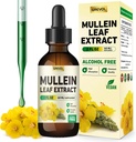Mullein Drops for Lungs תוסף: אורגני מולליין Leaf 30:1 לחלץ Tincture עם Chlorophyll - Herbal תוספת תמיכה Lung ניקויse & Respiratory פונקציונלי - Non-GMO, טבעוני - 2 Fl Oz