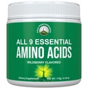 כל 9 אבקת Amino Acids Pre + במהלך + Post עבודהout עם EAAs + BCAAs עבור אנרגיה, צמיחה שרירים, התאוששות. Non-GMO BCAA ו- EAA אבקות לגברים + נשים. צד שלישי נבדק. Wildberry